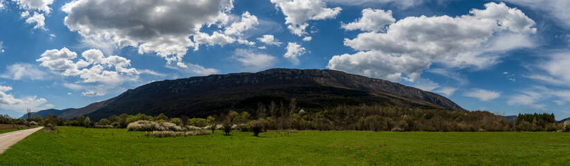 Amazing panorama of a green meadow in the mountains. The meadow is covered with a blue sky filled with white fluffy clouds. A huge mountain is visible in the background. Spring or summer nature photo.