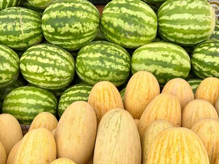watermelons and melonswatermelons and melons are beautifully laid out on the counter at the grocery market.