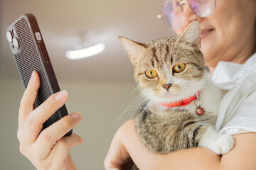 Woman holding a kitten with phone chatting using smartphone types message.