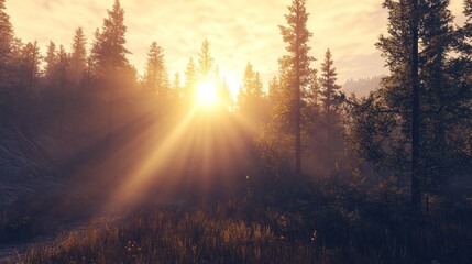 Obraz premium Golden Forest Sunrise: Sunbeams Piercing Through Trees, Serene Landscape.