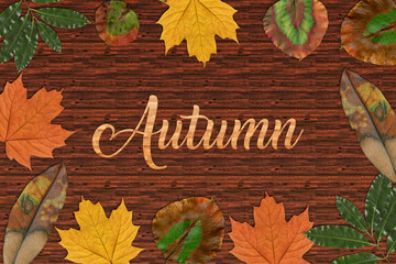 autumn leaves on wooden background
