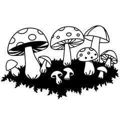 Illustration of various mushrooms growing in grass  