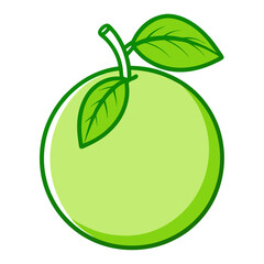 vector illustration of an apple