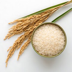 A top view of rice grains in a bowl with rice stalks and leaves on a white background studio shot