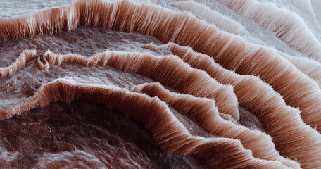 Mushroom Wax Layers with Frost Texture Minimal Clean Background