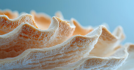 Mushroom Wax Layers with Frost Texture Minimal Clean Background