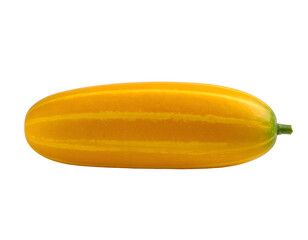 Yellow cucumber vegetable on black background