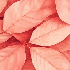 Coral Pink Leaves Background Texture Closeup