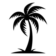 silhouette of palm tree