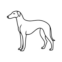 line icon Russian hound dog vector on white background
Vector icon of dog breed on white background