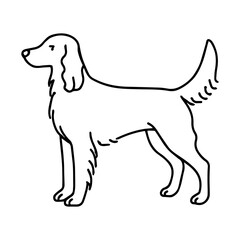 line icon Setter dog vector on white background
Vector icon of dog breed on white background