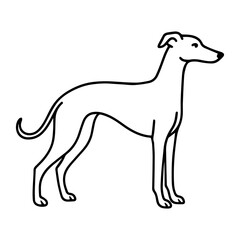 line icon whippet dog vector on white background
Vector icon of dog breed on white background