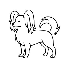 line icon phalene dog vector on white background
Vector icon of dog breed on white background