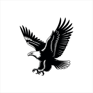 eagle silhouette vector illustration
