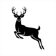 silhouette of deer