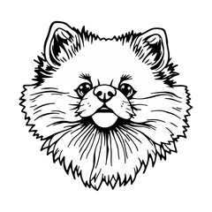 cat head sketch vector illustration isolated on white background ai generated