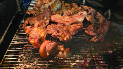 Assorted Pork Cuts Grilling Over Charcoal at Night Market