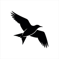 vector illustration of a bird