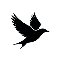 silhouette of a bird