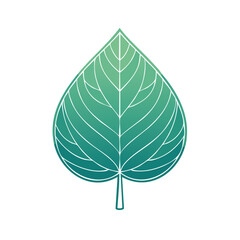 Isolated leaf icon teal gradient with white veins on black background nature vector