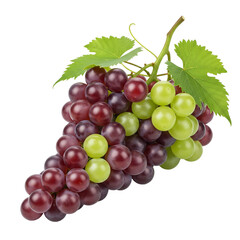 Fototapeta premium bunch of grapes