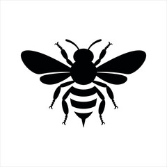 vector illustration of a bee