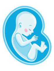 Blue Fetus Curled Up in Womb Art