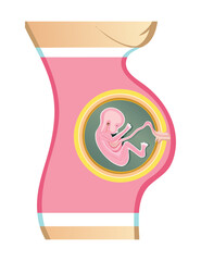 Growing Fetus Inside Pregnant Mother's Womb