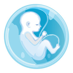 Light Blue Fetus in Amniotic Sac