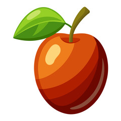 Jujube fruit transparent white color background