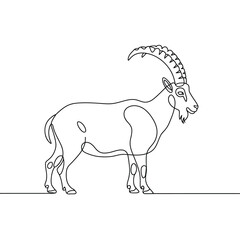 Minimalist single line drawing of a majestic ibex with curved horns standing