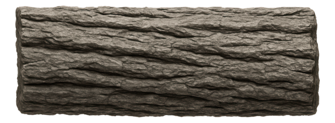 Rectangular piece of bark with deep longitudinal grooves and grayish hue