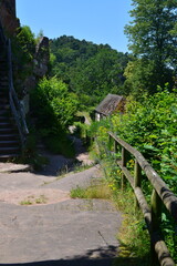 Pf&auml;lzer Wald_020