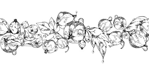 Currant gooseberry, leaves in water dew drops hand drawn in vector ink, scattered ripe garden berry. Seamless isolated banner garland. Home preserves, textile catalog, food store decor, recipe book
