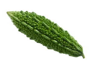 Isolated green bitter melon against black