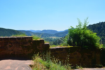 Pf&auml;lzer Wald_013