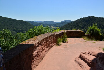 Pf&auml;lzer Wald_028