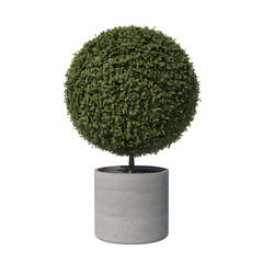 A perfectly shaped green sphere topiary tree in a modern concrete pot