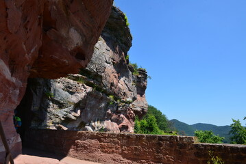 Pf&auml;lzer Wald_026