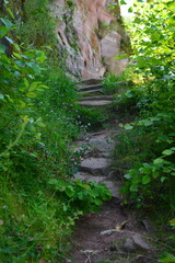 Pf&auml;lzer Wald_023
