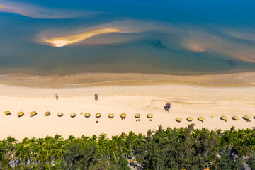 Tropical beach with coconut palm trees