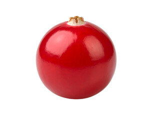 Single red currant berry on black