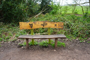 Rustic woodland bench with carved wildlife symbols in Sherwood Forest, Edwinstowe, Nottinghamshire