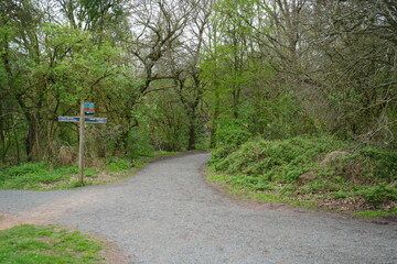 Scenic woodland walking trail with signpost in Sherwood Forest, Edwinstowe, Nottinghamshire.
