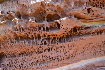 Pf&auml;lzer Wald_012