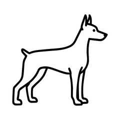 line icon Doberman dog vector on white background
Vector icon of dog breed on white background