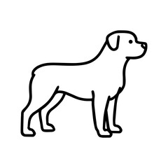 line icon Rottweiler dog vector on white background
Vector icon of dog breed on white background