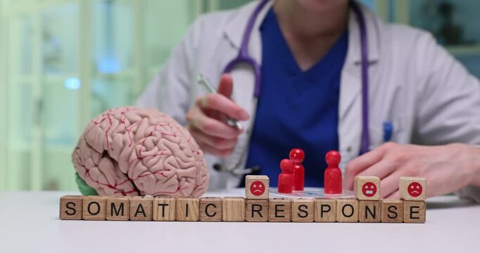 Visual representation of somatic response featuring a brain and figures, emphasizing healthcare dynamics.