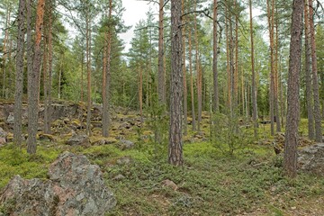 The historical Hevonniemi quarry of Pyterlahti, where red granite quarry was excavated in 1820-30s, Virolahti, Finland.