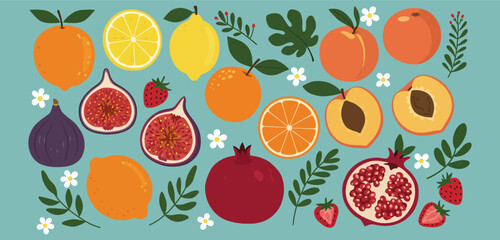 "Colorful Assorted Fruits Illustration – Citrus, Berries, Figs, and Pomegranate Vector Design" © Yearmuk Stodio 2